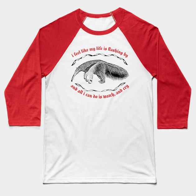 I Feel Like My Life Is Flashing By ∆ Nihilist Anteater Design Baseball T-Shirt by DankFutura